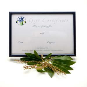 Gift Certificate